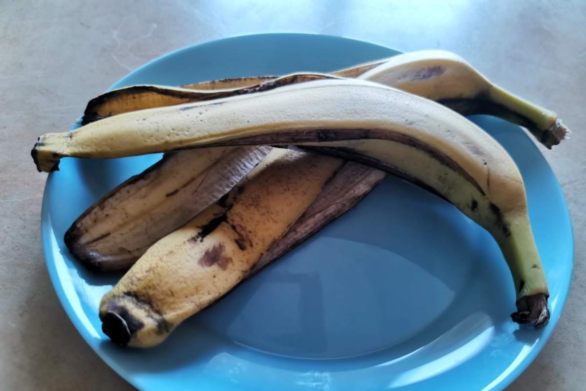 Non Uso La Chimica Per Le Formiche Basta Usare Una Buccia Di Banana E